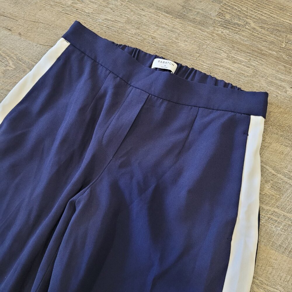 BABATON | Aritzia Conan Pant Terado Stripe | Sz. 4 - Picture 6 of 10